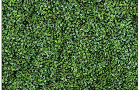 Lush green hedge wall photo booth backdrop for open photo booth rentals in Livonia, MI, from Dramatic Dimensions Entertainment serving Metro Detroit and Southeast Michigan