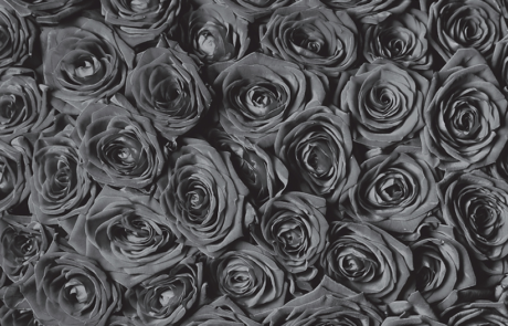 “Midnight Rose” photo booth backdrop filled with elegant gray roses from Dramatic Dimensions Entertainment in Garden City, Metro Detroit, and Southeast Michigan