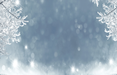 Winter Wonderland photo booth backdrop with light blue sky, snow-covered tree limbs, falling snow, and snowy ground from Dramatic Dimensions Entertainment in Garden City, Metro Detroit, and Southeast Michigan