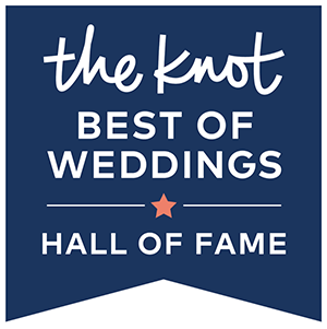 The Knot Best of weddings DJ- michigan dj service- detroit photo booth rentals- detroit wedding photographer- detroit uplighting rentals, wedding packages