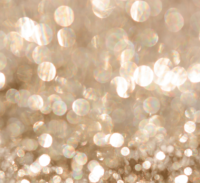 Champagne Sparkle backdrop for wedding photo booth
