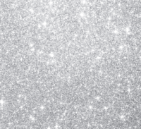 Silver Sparkle backdrop for photo booth rental near me
