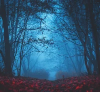 Vampire Path blue misty forest photo booth backdrop